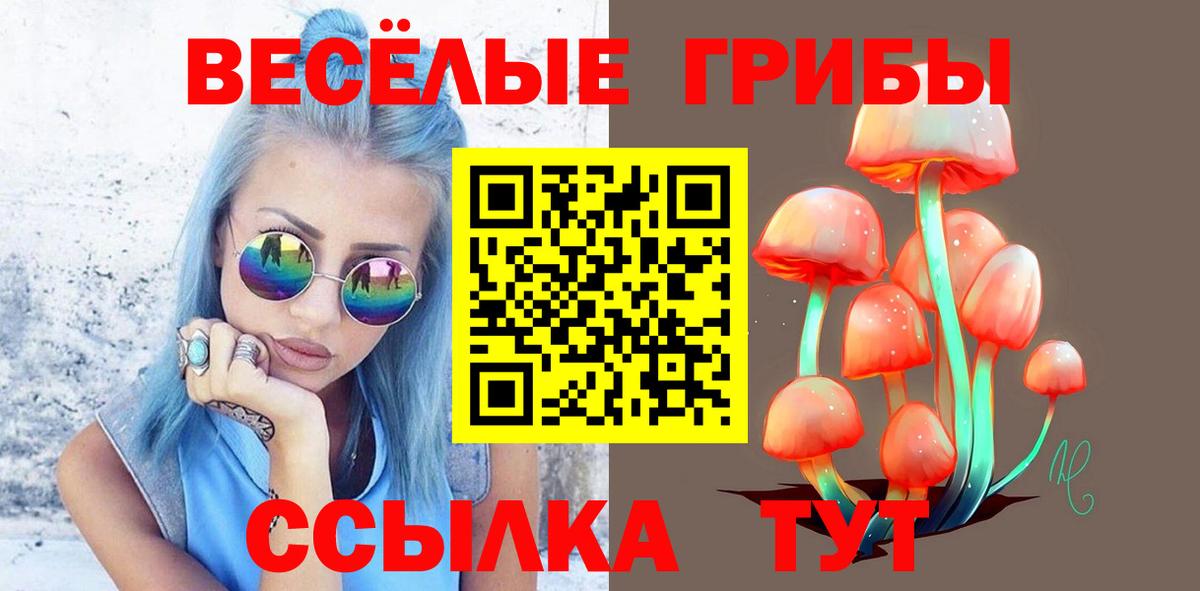 Галлюциногенные грибы мухоморы Заринск