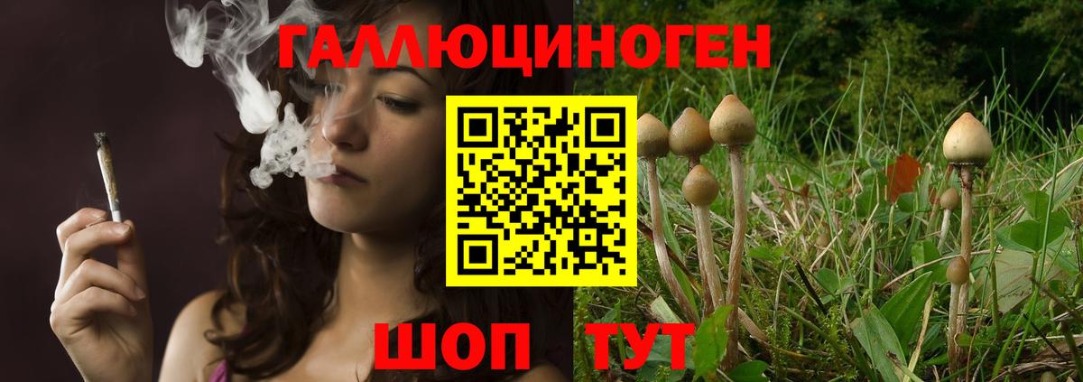 Галлюциногенные грибы Cubensis  Вход с VPN  Заринск 